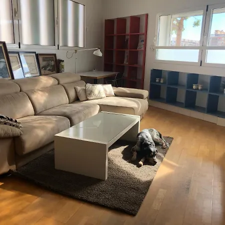 Homestay Estudio Acogedor Renfe Alicante